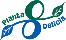 Planta Delicia